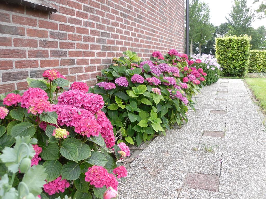 Bed and Breakfast Nicolaashoeve Beemster Noordbeemster Экстерьер фото